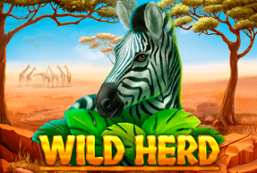 G.Games | Wild Herd