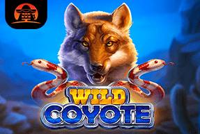 AmigoGaming | Wild Coyote